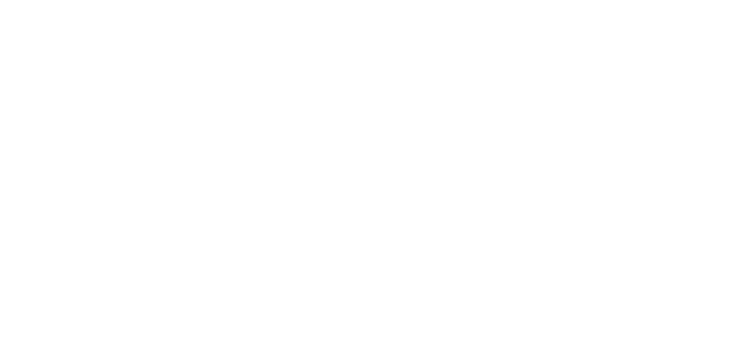 Digitales Gründerzentrum – bekannt aus, Chiara Bachmann Business Consulting